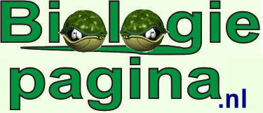 Biologiepagina.Nl Logo