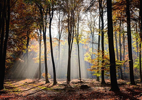 Wet Natuurbescherming 3