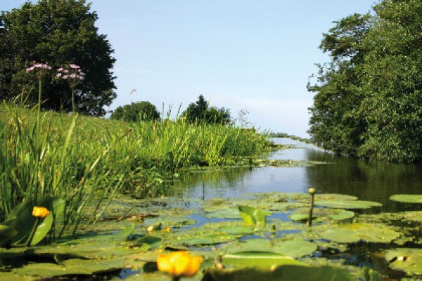 Leven In Onze Sloten