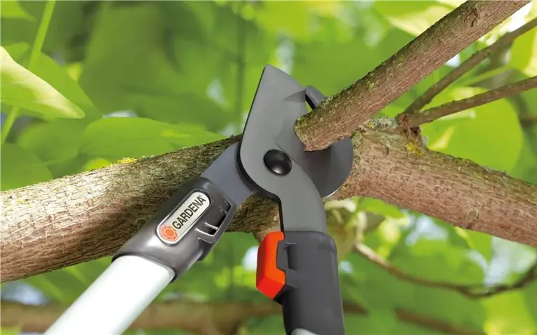 Snoeigereedschap Takkenschaar Snoeiklus Lepona