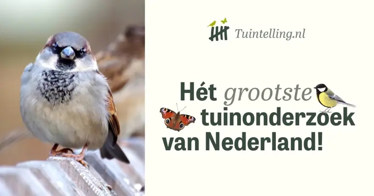 Tuintelling