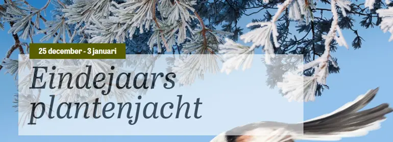 Eindejaarsplantenjacht