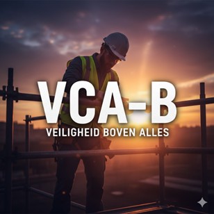VCA B