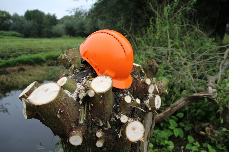Helm Op Knotwilg 2