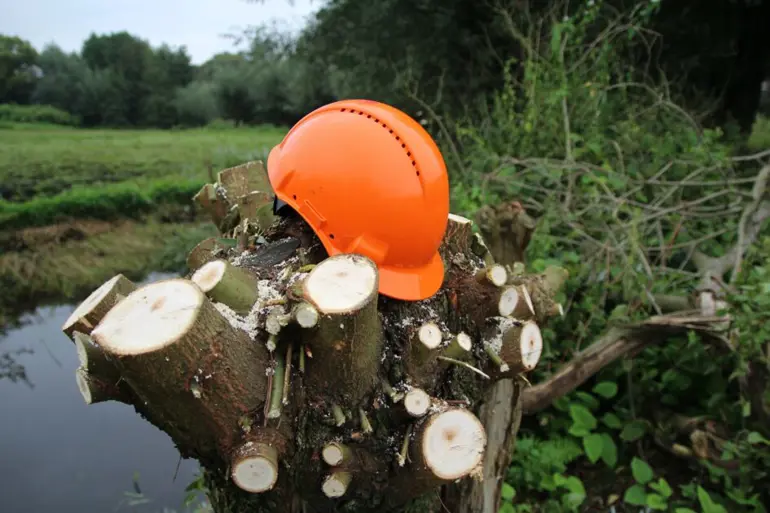Helm Op Knotwilg 2